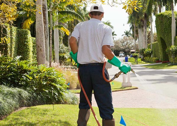 About Fremont MO Pest Control